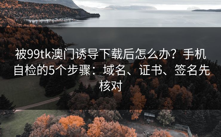 被99tk澳门诱导下载后怎么办？手机自检的5个步骤：域名、证书、签名先核对