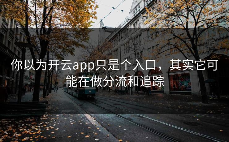 你以为开云app只是个入口，其实它可能在做分流和追踪