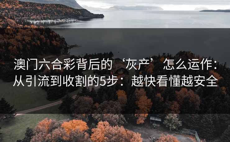 澳门六合彩背后的‘灰产’怎么运作：从引流到收割的5步：越快看懂越安全